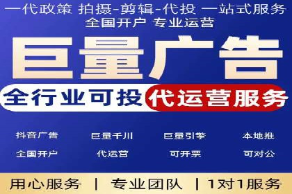 SEM主管实战：数据分析与策略调整